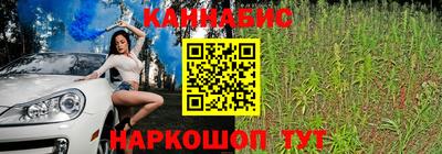 дмт Будённовск